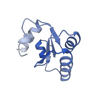 6615_3jct_c_v1-2
Cryo-em structure of eukaryotic pre-60S ribosomal subunits