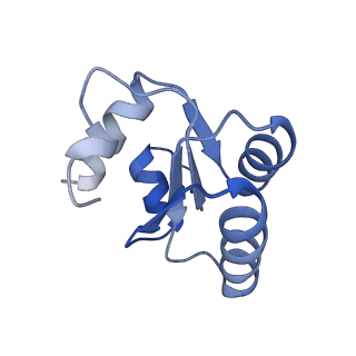 6615_3jct_c_v1-3
Cryo-em structure of eukaryotic pre-60S ribosomal subunits