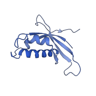 6615_3jct_d_v1-2
Cryo-em structure of eukaryotic pre-60S ribosomal subunits
