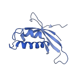 6615_3jct_d_v1-3
Cryo-em structure of eukaryotic pre-60S ribosomal subunits