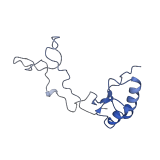 6615_3jct_e_v1-2
Cryo-em structure of eukaryotic pre-60S ribosomal subunits