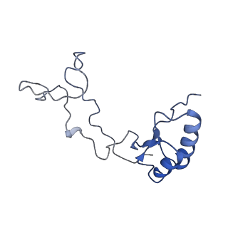 6615_3jct_e_v1-3
Cryo-em structure of eukaryotic pre-60S ribosomal subunits