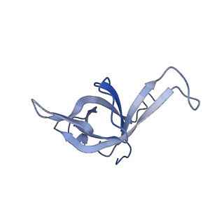 6615_3jct_f_v1-2
Cryo-em structure of eukaryotic pre-60S ribosomal subunits
