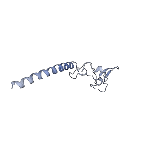 6615_3jct_g_v1-2
Cryo-em structure of eukaryotic pre-60S ribosomal subunits