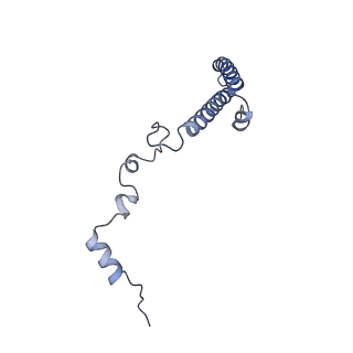6615_3jct_h_v1-2
Cryo-em structure of eukaryotic pre-60S ribosomal subunits