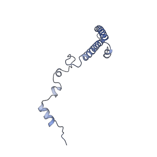 6615_3jct_h_v1-3
Cryo-em structure of eukaryotic pre-60S ribosomal subunits