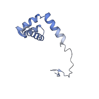 6615_3jct_i_v1-2
Cryo-em structure of eukaryotic pre-60S ribosomal subunits