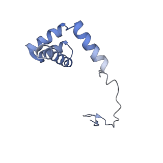 6615_3jct_i_v1-3
Cryo-em structure of eukaryotic pre-60S ribosomal subunits