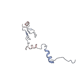 6615_3jct_j_v1-2
Cryo-em structure of eukaryotic pre-60S ribosomal subunits