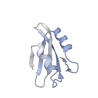6615_3jct_k_v1-2
Cryo-em structure of eukaryotic pre-60S ribosomal subunits