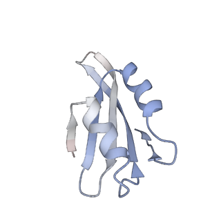 6615_3jct_k_v1-3
Cryo-em structure of eukaryotic pre-60S ribosomal subunits
