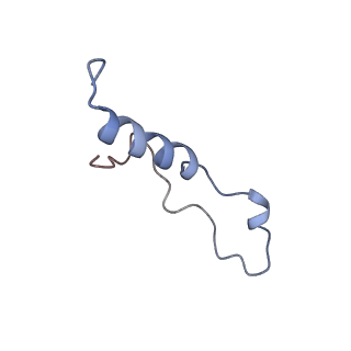 6615_3jct_l_v1-2
Cryo-em structure of eukaryotic pre-60S ribosomal subunits