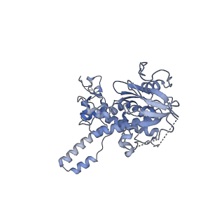 6615_3jct_n_v1-2
Cryo-em structure of eukaryotic pre-60S ribosomal subunits