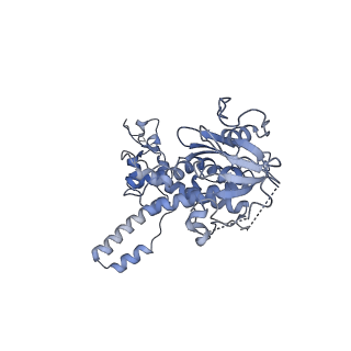 6615_3jct_n_v1-3
Cryo-em structure of eukaryotic pre-60S ribosomal subunits