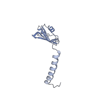 6615_3jct_o_v1-2
Cryo-em structure of eukaryotic pre-60S ribosomal subunits