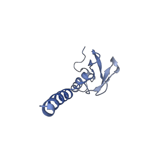 6615_3jct_p_v1-2
Cryo-em structure of eukaryotic pre-60S ribosomal subunits