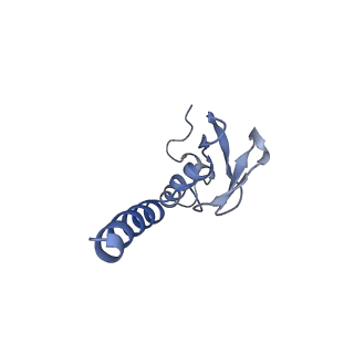 6615_3jct_p_v1-3
Cryo-em structure of eukaryotic pre-60S ribosomal subunits