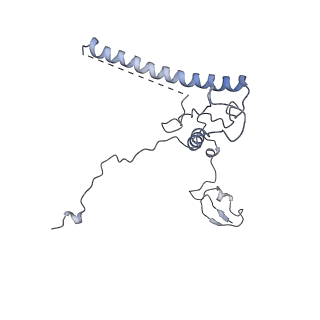 6615_3jct_q_v1-2
Cryo-em structure of eukaryotic pre-60S ribosomal subunits