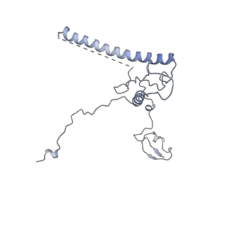 6615_3jct_q_v1-3
Cryo-em structure of eukaryotic pre-60S ribosomal subunits