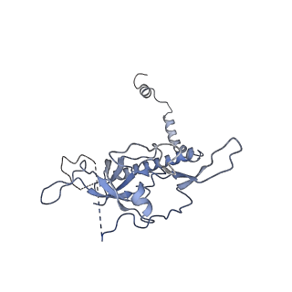 6615_3jct_r_v1-2
Cryo-em structure of eukaryotic pre-60S ribosomal subunits