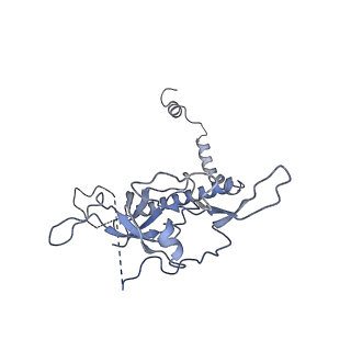 6615_3jct_r_v1-3
Cryo-em structure of eukaryotic pre-60S ribosomal subunits