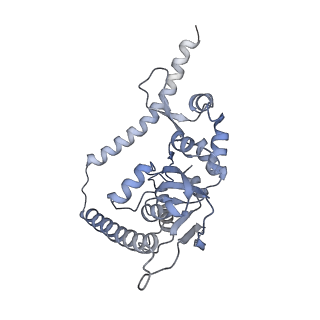 6615_3jct_t_v1-2
Cryo-em structure of eukaryotic pre-60S ribosomal subunits