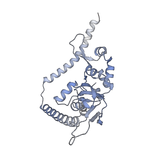 6615_3jct_t_v1-3
Cryo-em structure of eukaryotic pre-60S ribosomal subunits