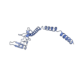 6615_3jct_u_v1-2
Cryo-em structure of eukaryotic pre-60S ribosomal subunits