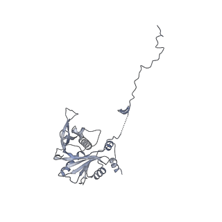 6615_3jct_v_v1-3
Cryo-em structure of eukaryotic pre-60S ribosomal subunits