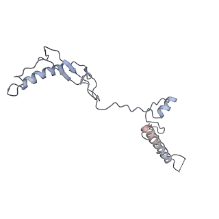 6615_3jct_w_v1-2
Cryo-em structure of eukaryotic pre-60S ribosomal subunits