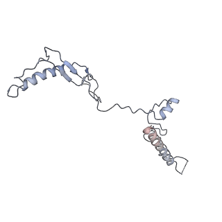 6615_3jct_w_v1-3
Cryo-em structure of eukaryotic pre-60S ribosomal subunits