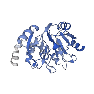 6615_3jct_y_v1-2
Cryo-em structure of eukaryotic pre-60S ribosomal subunits