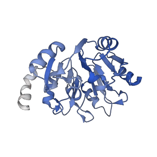 6615_3jct_y_v1-3
Cryo-em structure of eukaryotic pre-60S ribosomal subunits