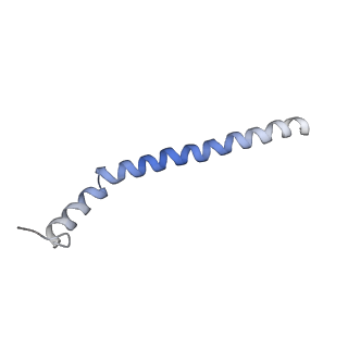 6615_3jct_z_v1-3
Cryo-em structure of eukaryotic pre-60S ribosomal subunits