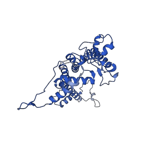 6617_3jcu_A_v1-4
Cryo-EM structure of spinach PSII-LHCII supercomplex at 3.2 Angstrom resolution