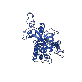 6617_3jcu_B_v1-4
Cryo-EM structure of spinach PSII-LHCII supercomplex at 3.2 Angstrom resolution