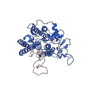 6617_3jcu_C_v1-4
Cryo-EM structure of spinach PSII-LHCII supercomplex at 3.2 Angstrom resolution