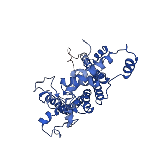 6617_3jcu_D_v1-4
Cryo-EM structure of spinach PSII-LHCII supercomplex at 3.2 Angstrom resolution