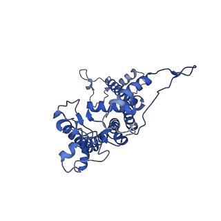 6617_3jcu_a_v1-4
Cryo-EM structure of spinach PSII-LHCII supercomplex at 3.2 Angstrom resolution