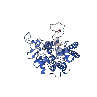 6617_3jcu_c_v1-4
Cryo-EM structure of spinach PSII-LHCII supercomplex at 3.2 Angstrom resolution