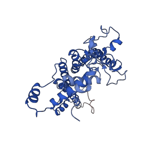 6617_3jcu_d_v1-4
Cryo-EM structure of spinach PSII-LHCII supercomplex at 3.2 Angstrom resolution