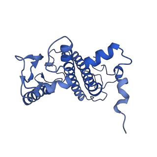 6617_3jcu_y_v1-4
Cryo-EM structure of spinach PSII-LHCII supercomplex at 3.2 Angstrom resolution