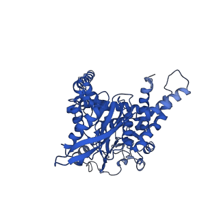 6630_3jcz_A_v1-2
Structure of bovine glutamate dehydrogenase in the unliganded state