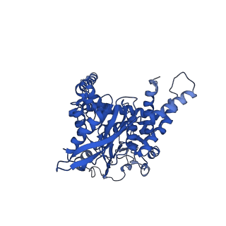 6630_3jcz_A_v1-3
Structure of bovine glutamate dehydrogenase in the unliganded state