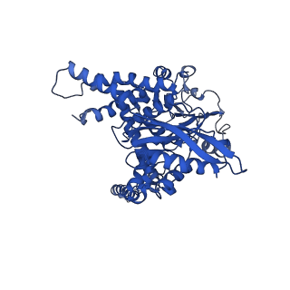 6630_3jcz_B_v1-2
Structure of bovine glutamate dehydrogenase in the unliganded state