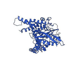 6630_3jcz_B_v1-3
Structure of bovine glutamate dehydrogenase in the unliganded state