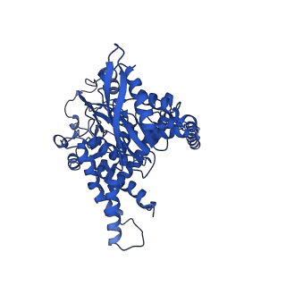 6630_3jcz_C_v1-2
Structure of bovine glutamate dehydrogenase in the unliganded state