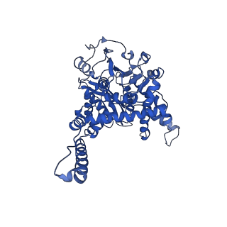 6630_3jcz_D_v1-2
Structure of bovine glutamate dehydrogenase in the unliganded state