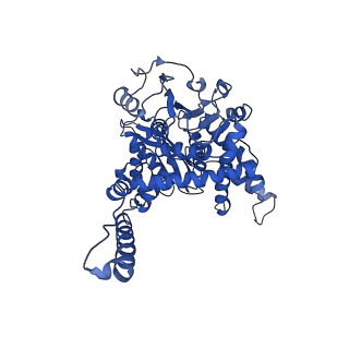 6630_3jcz_D_v1-3
Structure of bovine glutamate dehydrogenase in the unliganded state