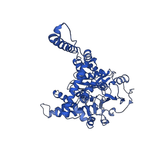 6630_3jcz_E_v1-2
Structure of bovine glutamate dehydrogenase in the unliganded state